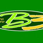 b3